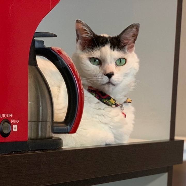 894ba967 182b 44e0 8cc6 04905b9b7cf7 1658071344334