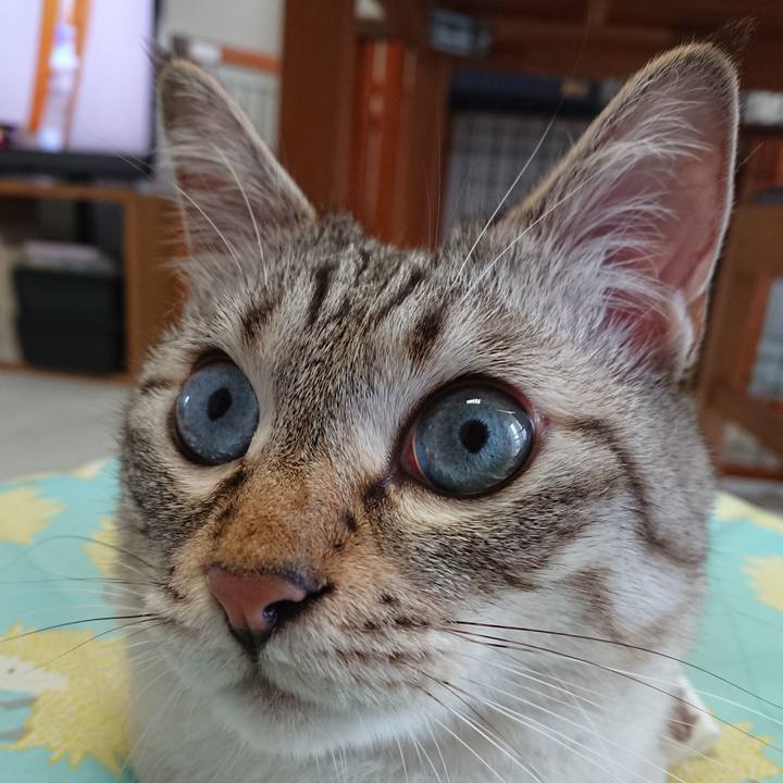 894bdb73 1614 49dc b160 c0eb474e1a59 1562390698936