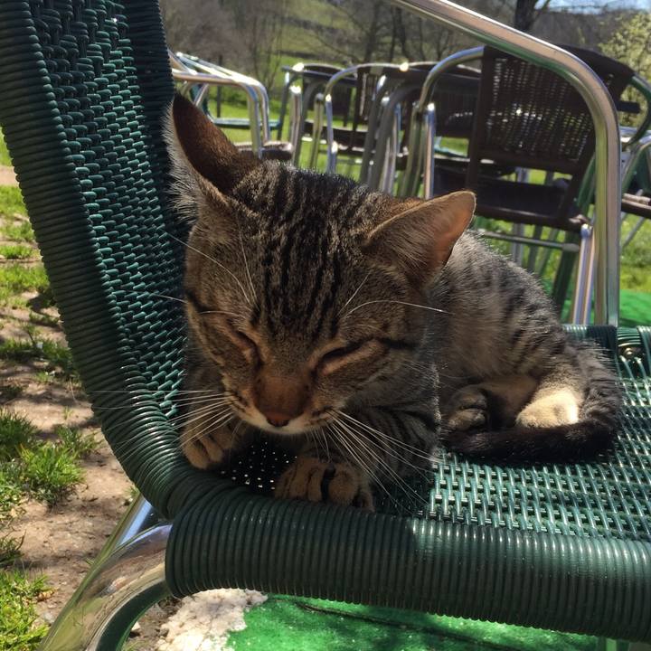 894bfafd 25c9 486a bbd7 751bb7732503 1524199426490