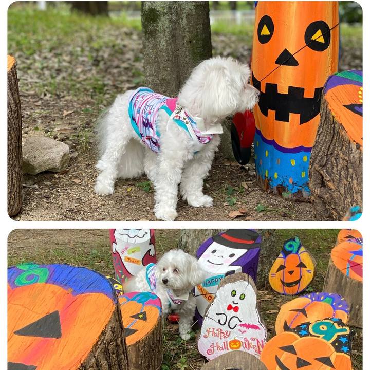 894c1de9 4e63 4c5a ab6b 1460ca1e2da0 1664373595895