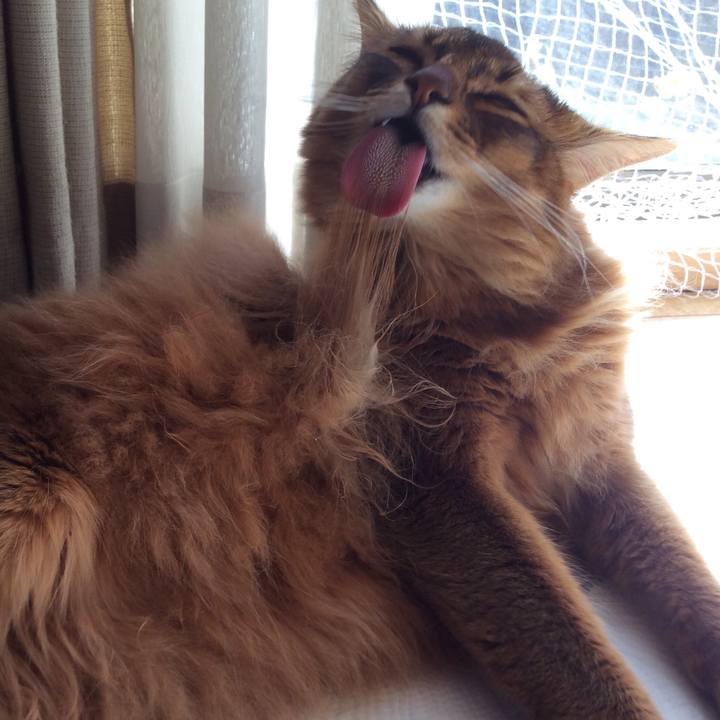 894c2633 aab2 45ba 921a d3c9ad9c829c 1608869894456