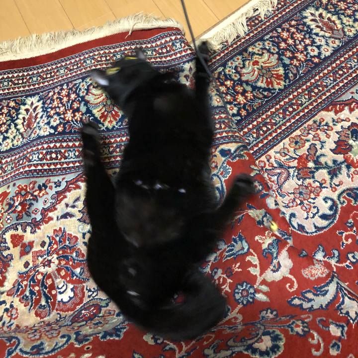 894c326a a025 41b9 adb4 8a599c134a8d 1523538189927