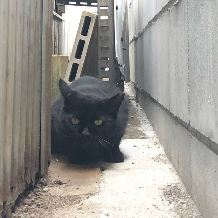 894c4ddf ac38 4a5a ac4c 7d7fce1a75a2 1599976083586