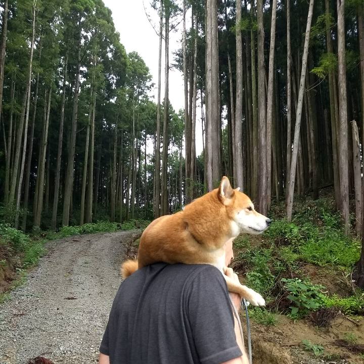 894c7d96 9b11 4b63 a675 aacbf680f334 1536362755632