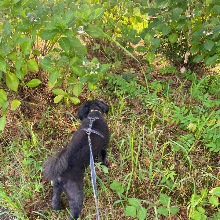 894c7e25 55f1 485f 86d0 a681e30bf2dc 1660429695960