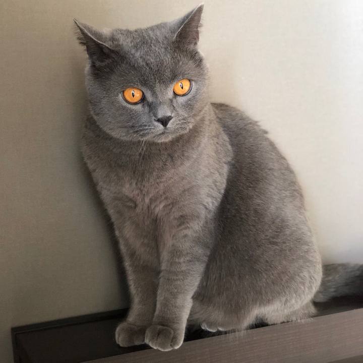 894cb976 80de 4576 af02 38a337977c71 1513478309097