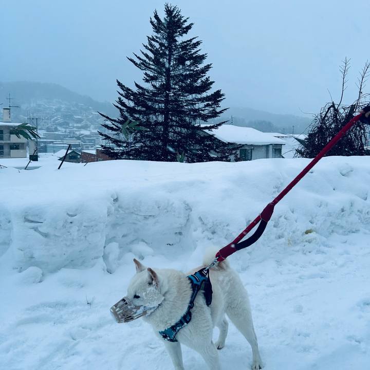 894cc2f1 4609 40f5 a472 6128602e8679 1735338541547