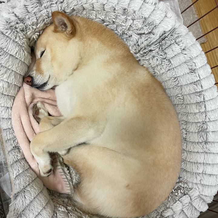 894cdf26 32e5 4336 ad36 f901df840c2a 1679315884570