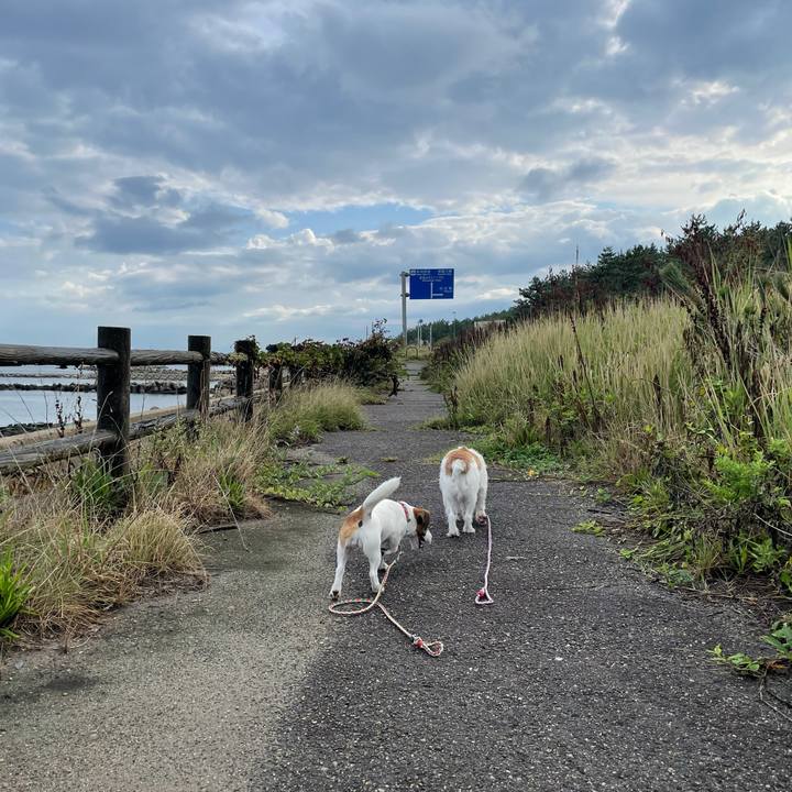 894cf41c b4bf 493f bf14 d9849d651f41 1629846676429