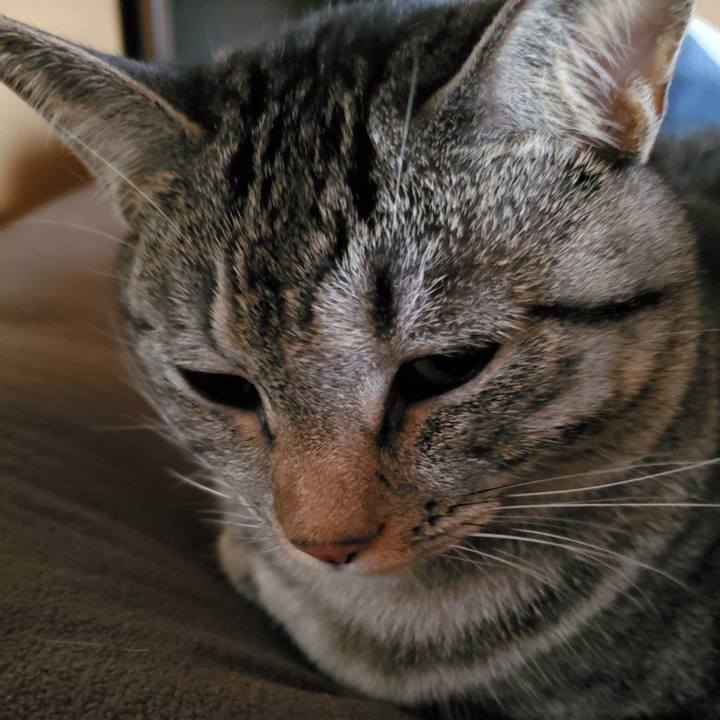 894d012d 6685 4e9e b844 a4de14e2b2ec 1696659776260