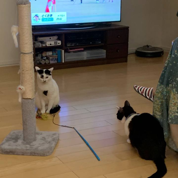 894d015a 7bad 4fa0 bdd9 4ca649f56ca6 1592617360351