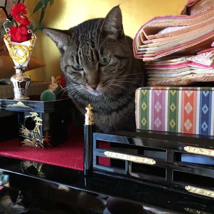 894d1d69 d689 45ca b5d2 ac496a1cae73 1518153404919