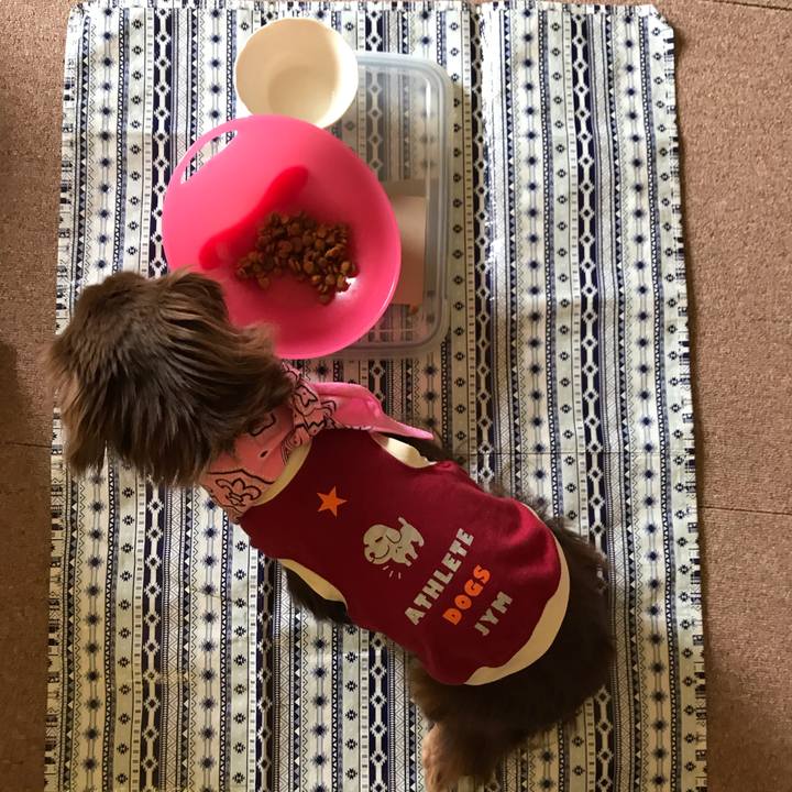 894d3a93 47d4 4469 8ee2 73d2e5c574ed 1593390345333