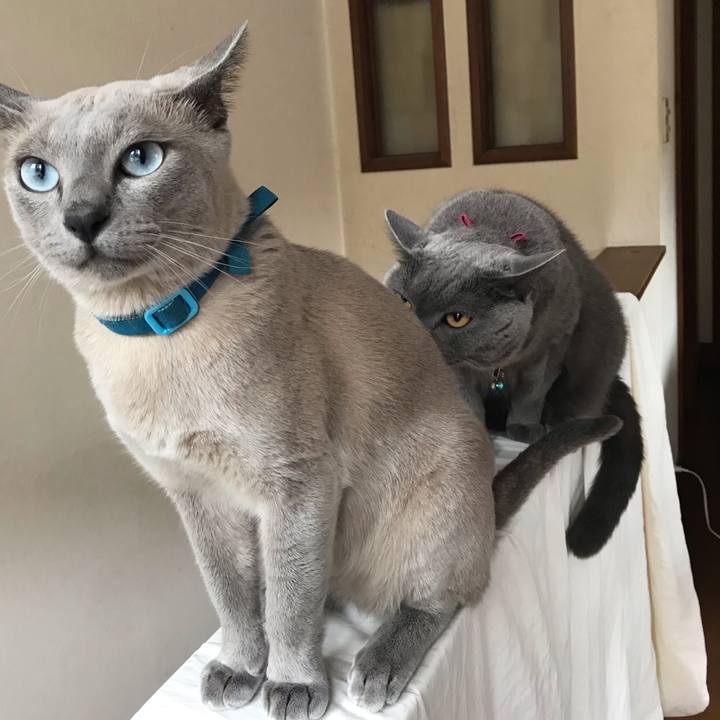 894d4710 c63d 468f 83e7 d75de4f5d0b1 1565948212844