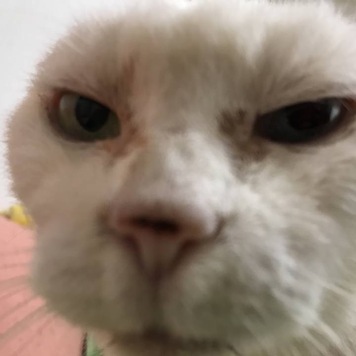 894d5820 46d3 4b35 a0da cb1e38400ac8 1525753396768