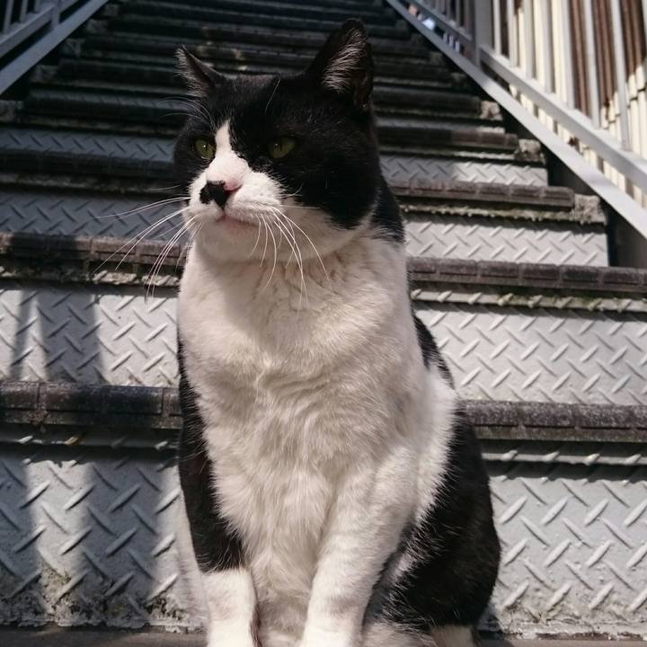 894db3ff e754 4e21 aba3 f93667ba2adb 1522025056729