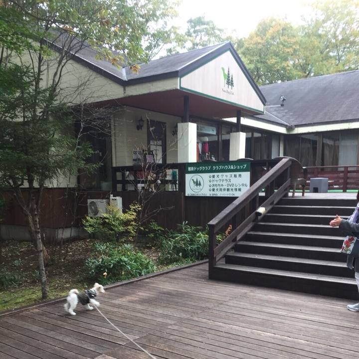 894dedb3 ec20 428d 9519 151f98a599fe 1510045780146