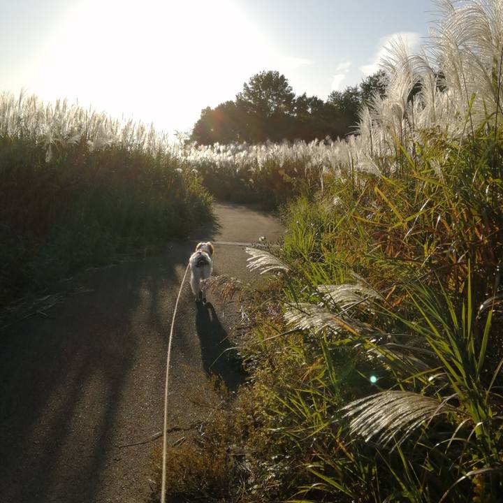 894df60a 0a5d 44bf bf9e ce629c5a46ef 1572695840111