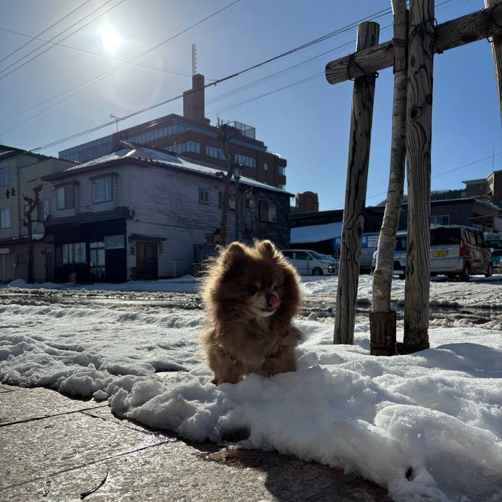 894e0452 d691 4e00 8489 edac6d334fbf 1765000032142