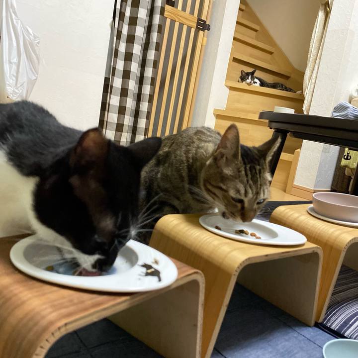 894e1bc6 d074 4093 9950 75b85bf63c95 1691787379903