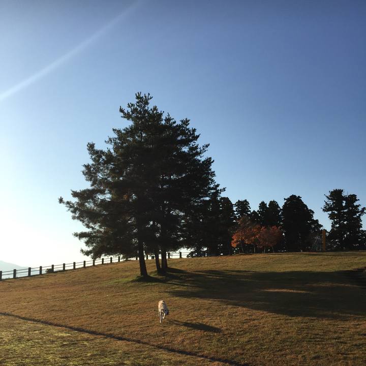 894e49ff 279a 4a59 8519 e0033d963831 1543282548104