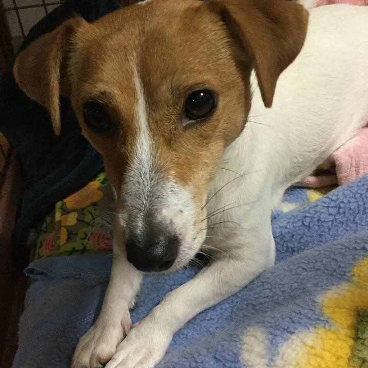 894e4d6f 557e 4c15 8168 ee19e0349c65 1543830038254