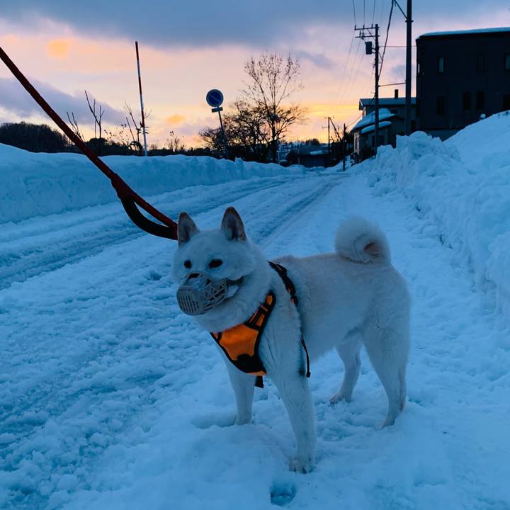 894e559b c134 48e3 bf8a 23664290db47 1671834808087