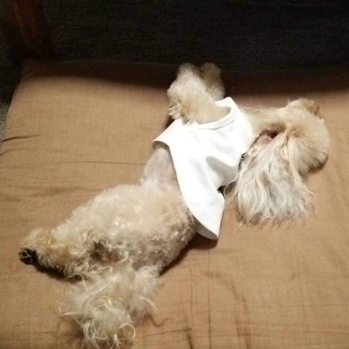 894ea18c 2372 4e92 80cc 3b195b146559 1534510937826