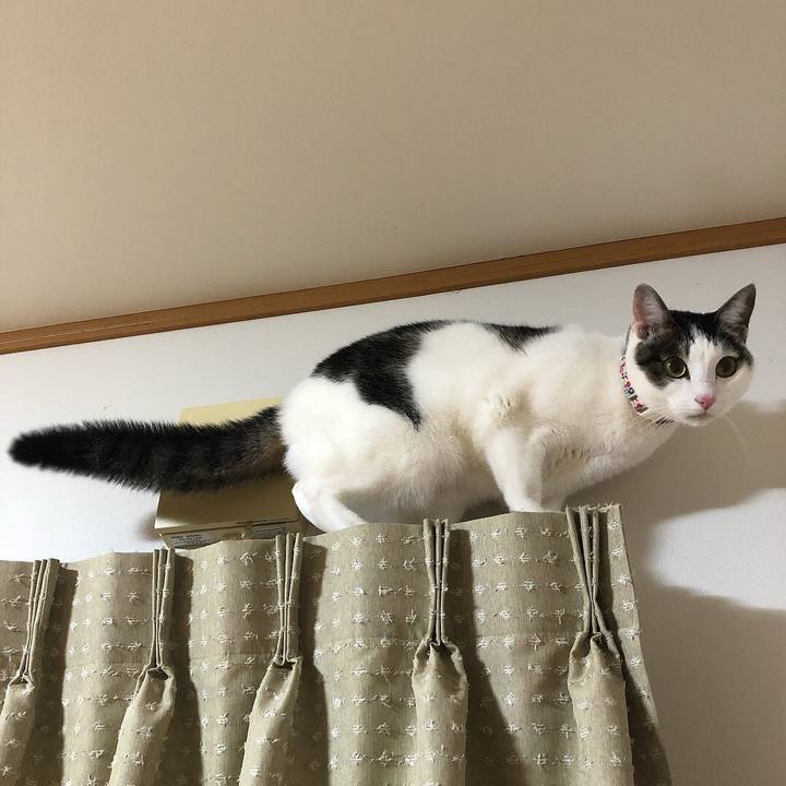 894ecfd0 b6e0 462f aa52 ac93213c7db0 1639052205487