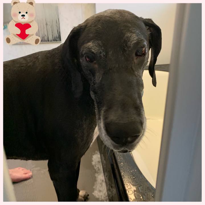 894edc61 fda9 47a4 975b 8522ad937be6 1556850188925