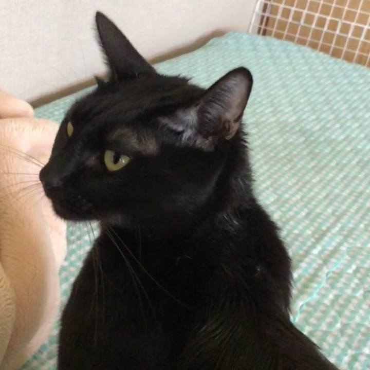 894ef3c8 4a52 451a 9b12 b3afbfc8aff1 1662269834859