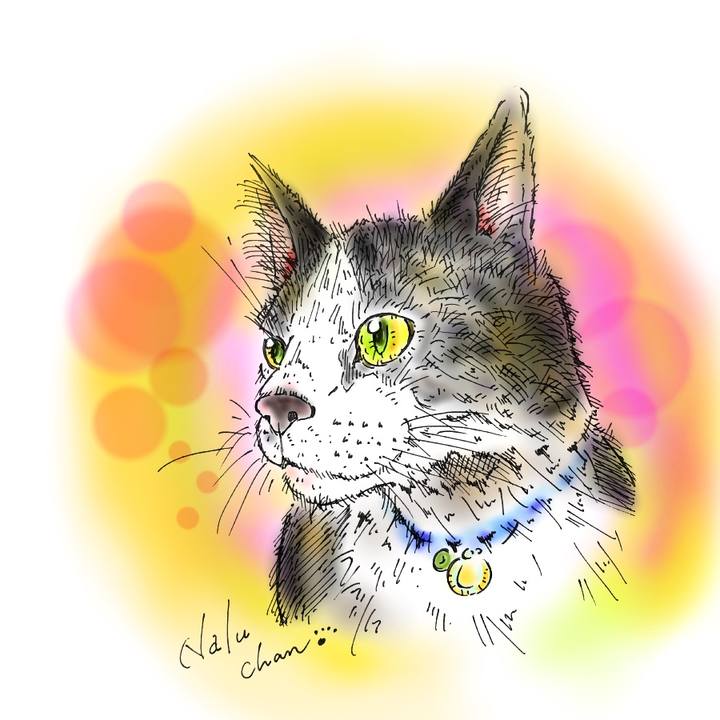 894f4d67 849e 4fdc 9fc6 e8a0999783f6 1584196264850