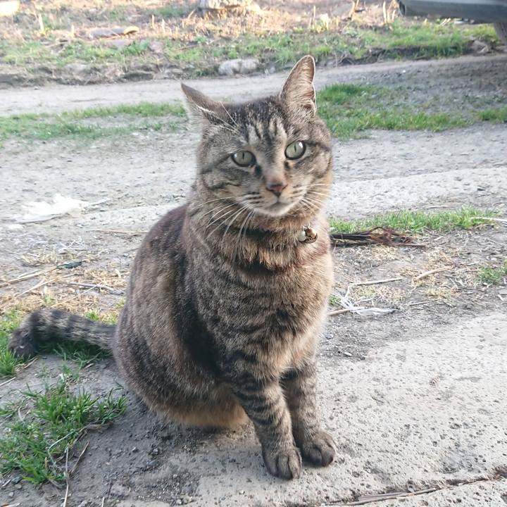 894f5c40 21ad 4074 8822 e8424530a240 1649842783533