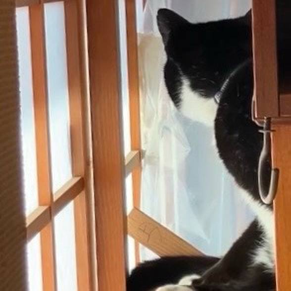 894f734a 9c3e 45d4 af08 3092f998bf5f 1740015978961