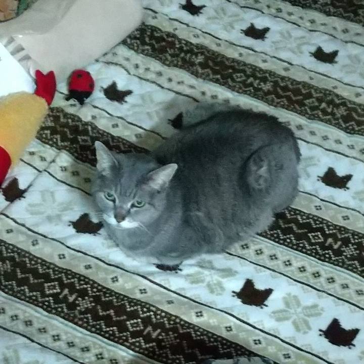 894f9d83 e612 47c8 b011 0c17cca5ebe1 1680990091371