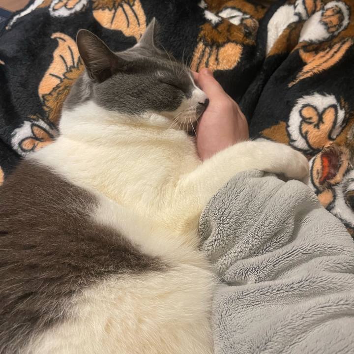 894fa690 1008 449a 82c6 4d604448a54a 1738853222279