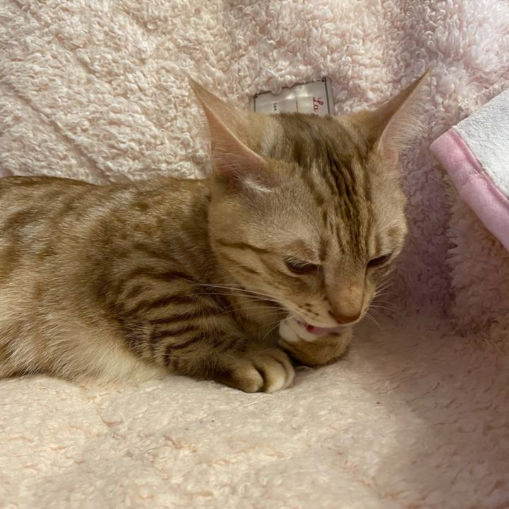 894fae10 b12d 4e6b 8715 eb662de01c00 1641734544832