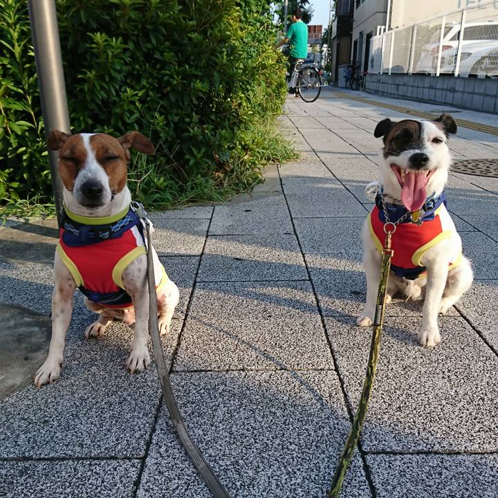 894fc3c4 dea5 4795 811c 8558c5343a25 1565991056706