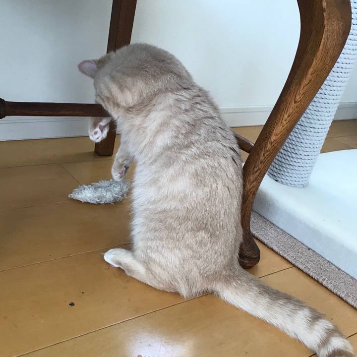 89503b4f dad0 45d8 b607 9fd335f8e51b 1522934629683