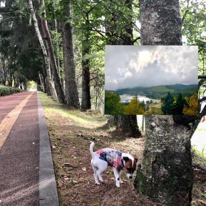 895042c0 c764 4cdb beb7 11ea381af817 1600039210283