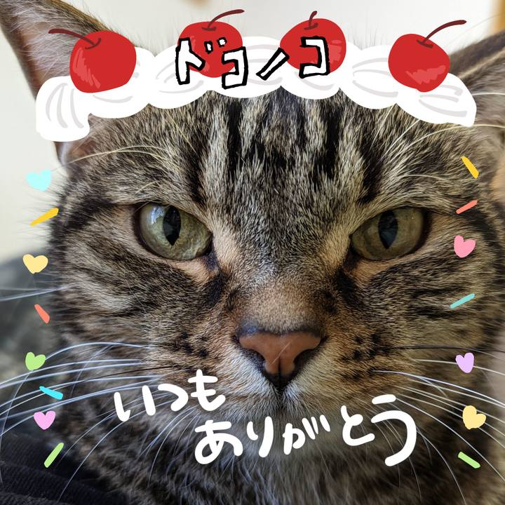 89507132 1315 4ebf b9f9 e9bb07dbade4 1685937364419