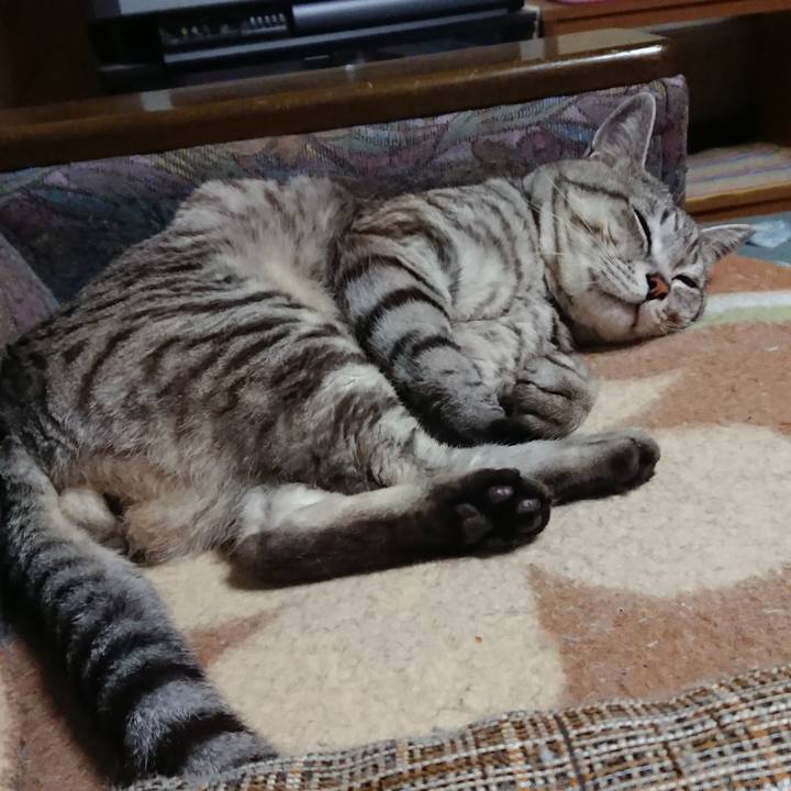 8950aa7f 99e9 4047 9556 59106d03a94a 1558357961087