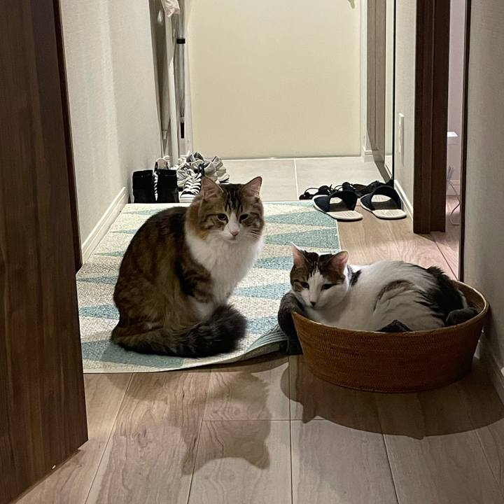 89511701 826f 4bdf 9024 df704e168402 1764551924143