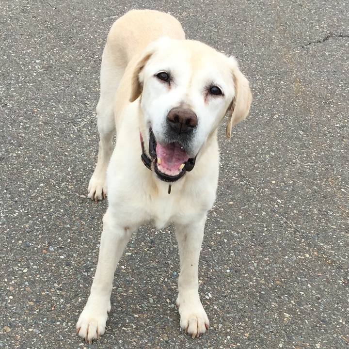 89513d01 b7e5 4b9e a8ec e0ceb31e57e5 1528279752353