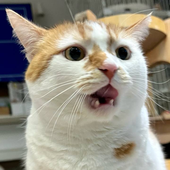 8951575e a721 49b3 acbb df18fa49d987 1767930320923