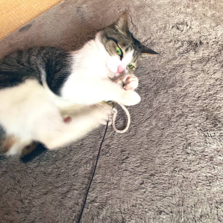 8951706f 832b 4463 b232 ad8e1163996c 1584623200501