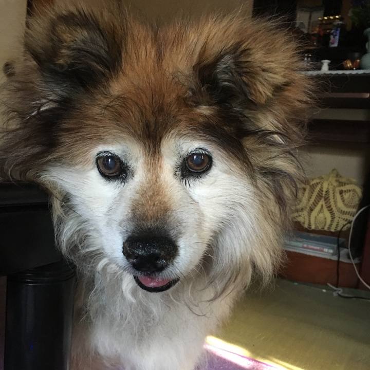 8951741d fa17 42e2 aebe cf145d476f79 1578181980988