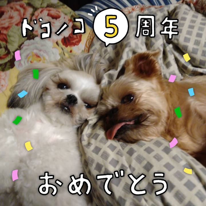 8951f80d 3901 488e a4f8 90446c5be15f 1622944755897