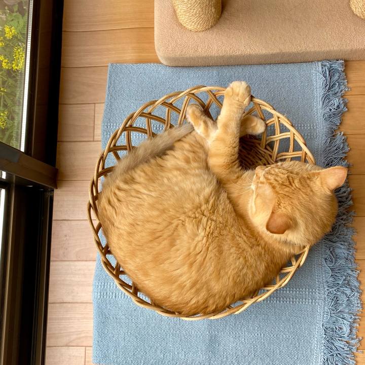 8952160a ac61 4b06 95b8 a5a679a0a7a9 1725761286553