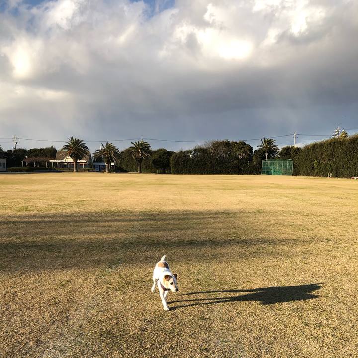 89522709 5812 40db 84dc f8a6d9078d55 1582034089833